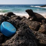 Plastic bottle cap lodged in volcanic lava rock with a marine iguana in the background on a Galápagos shoreline