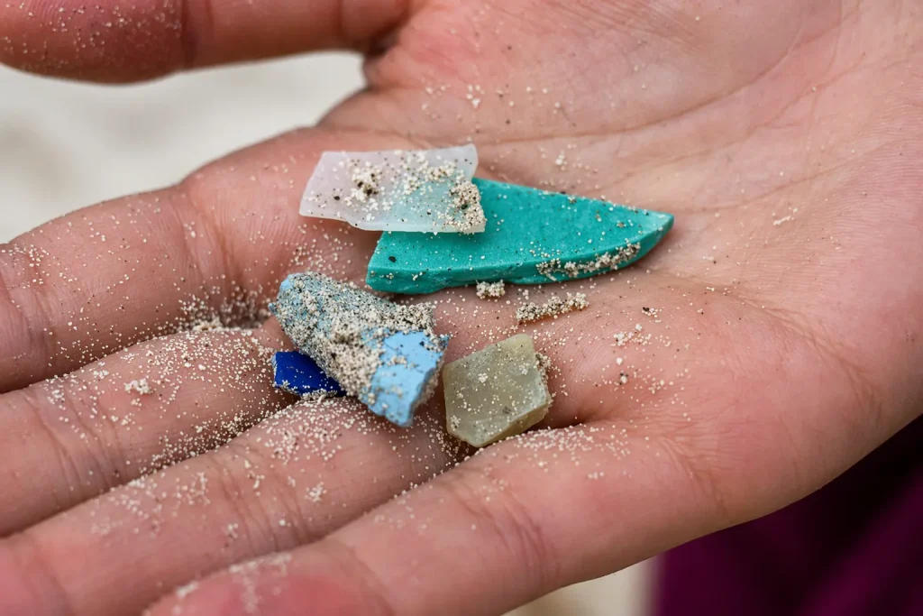 Colored plastic fragments covered with sand rest in the palm of a hand during a beach monitoring activity in Galápagos.