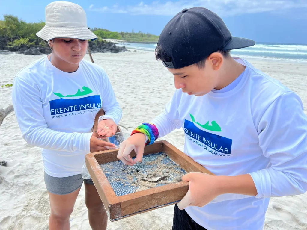 Two young volunteers examine microplastic fragments on a beach in Galápagos using a wooden sieve during a coastal cleanup activity.
