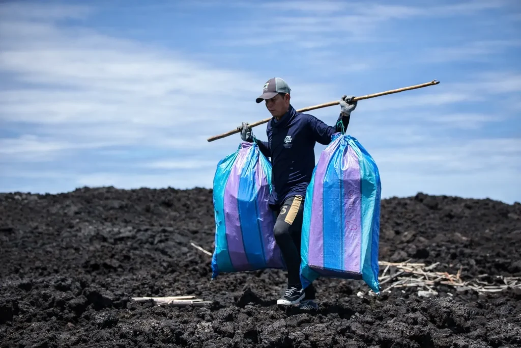 A volunteer carries two large bags of collected waste across a lava field in Galápagos using a wooden pole over his shoulders.