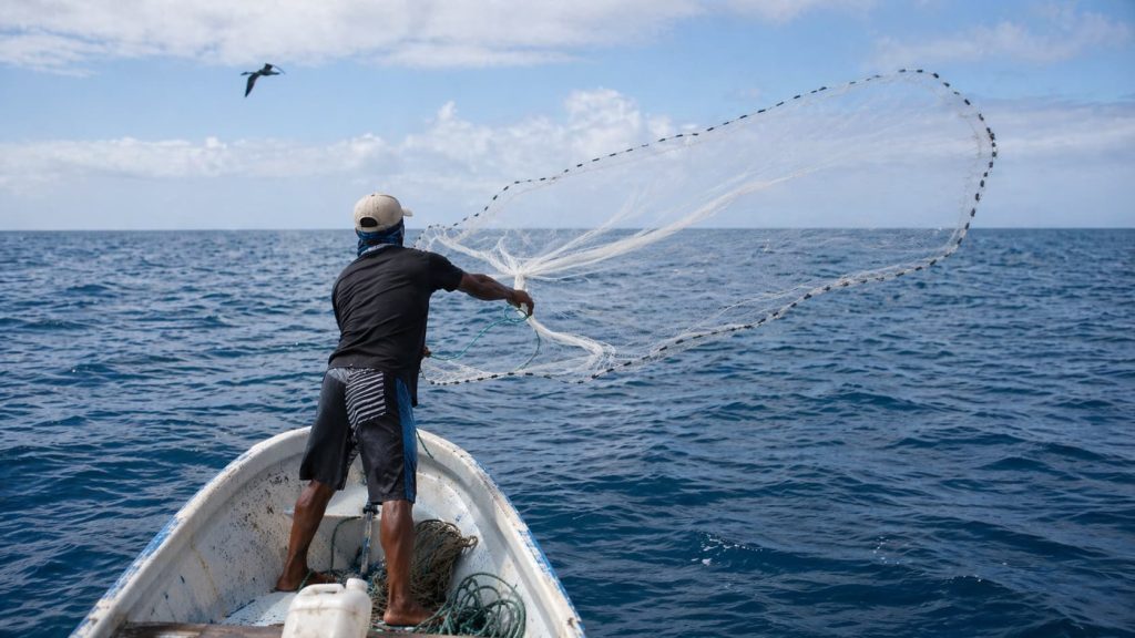 An artisanal fisher casts a net from a small fiberglass boat in the open sea of Galápagos while seabirds fly overhead.