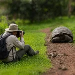 A photographer observes a Galápagos giant tortoise from a respectful distance on a muddy forest trail in Galápagos.