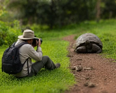 A photographer observes a Galápagos giant tortoise from a respectful distance on a muddy forest trail in Galápagos.
