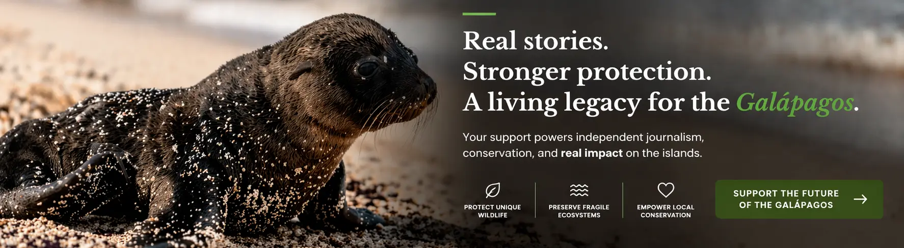 Visit Sponsor